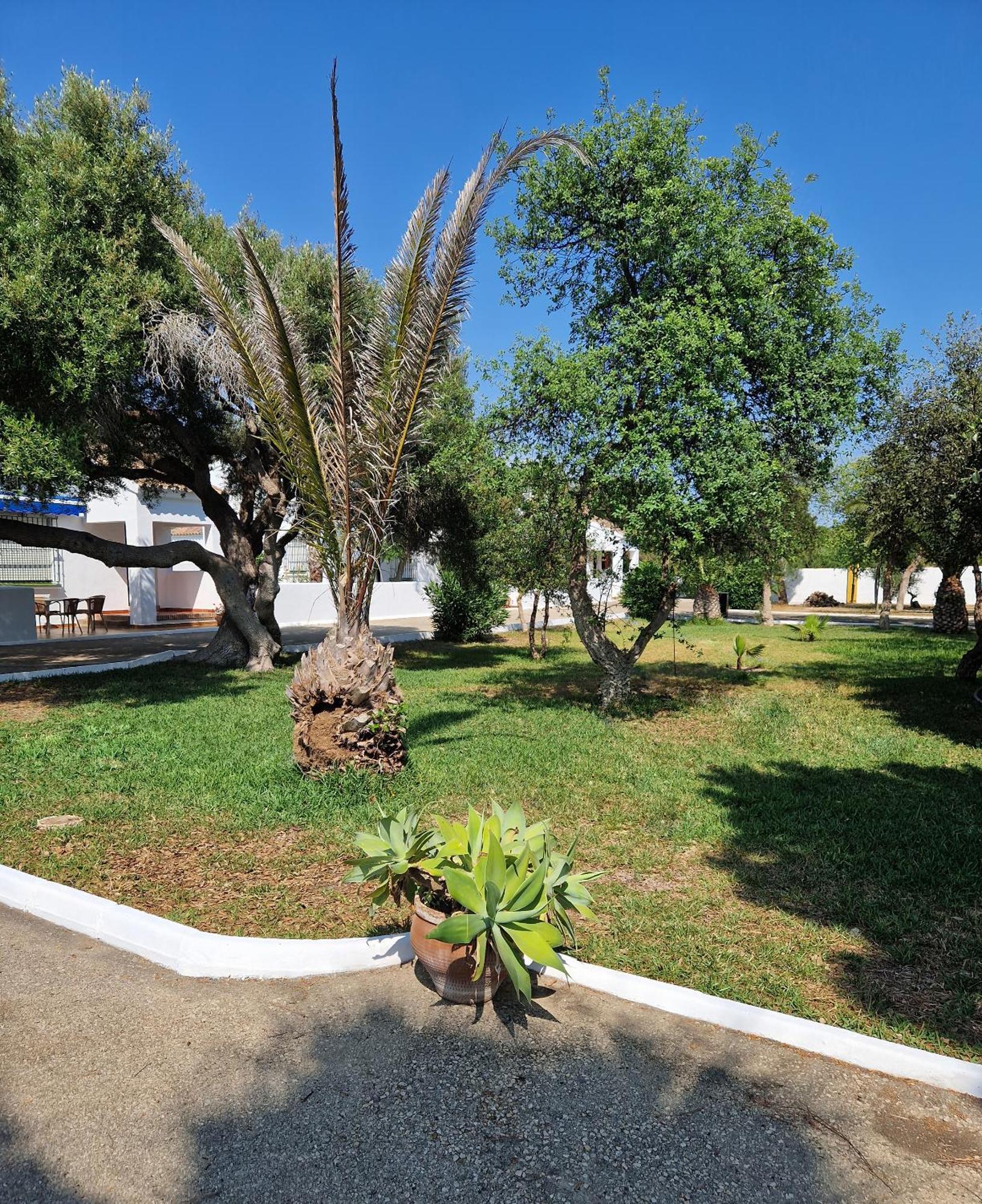 Las Casas de las Flores Los Caños de Meca Exterior foto